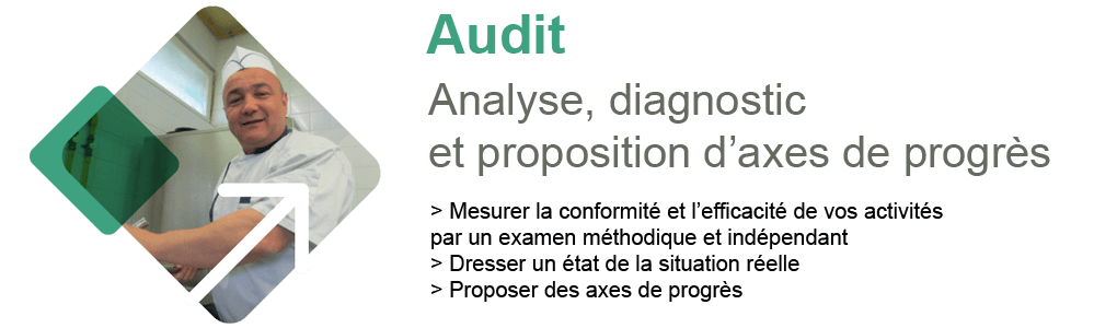 AUDIT : Analyse, diagnostic et proposition d'axes de progrès