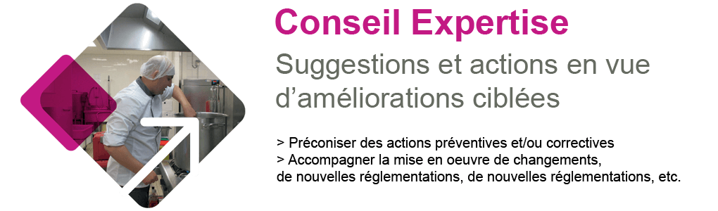 CONSEIL EXPERTISE :Suggestions et actions en vue d'améliorations ciblées